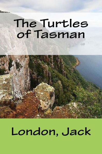 The Turtles Of Tasman - 9781547083718