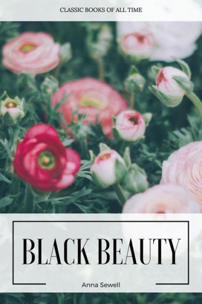 Black Beauty - 9781547171675