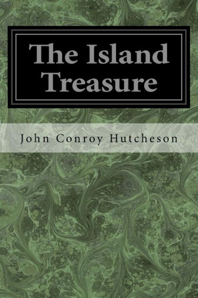 The Island Treasure - 9781547249817
