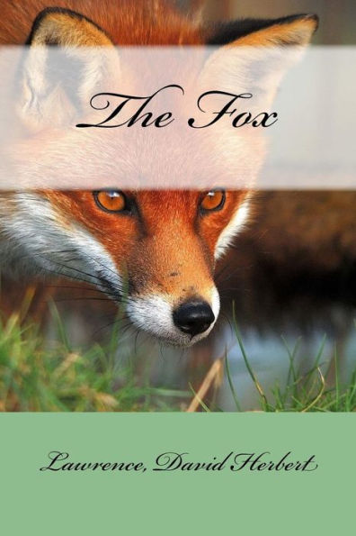 The Fox - 9781547293537