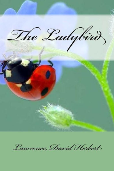 The Ladybird - 9781547293926