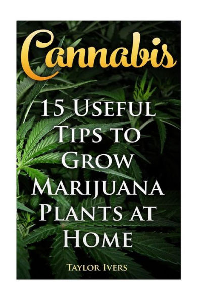 Cannabis: 15 Useful Tips To Grow Marijuana Plants At Home