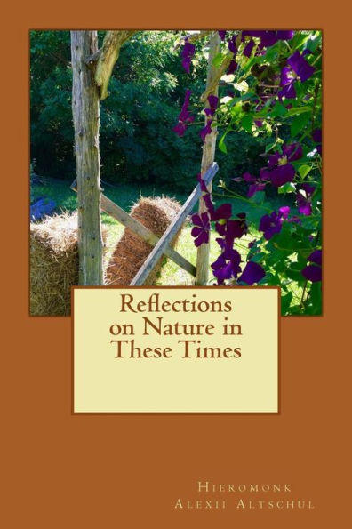 Reflections On Nature In These Times