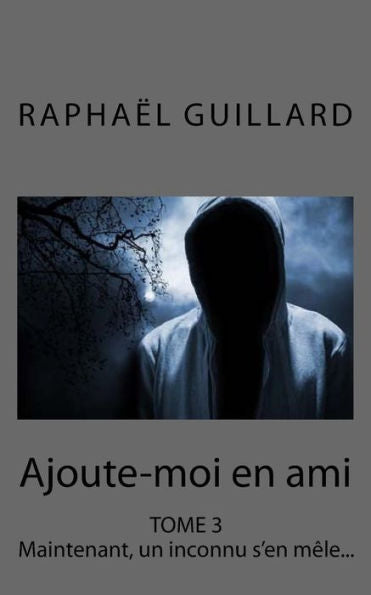 Ajoute-Moi En Ami, Tome 3: Maintenant, Un Inconnu S'En M?le... (French Edition)