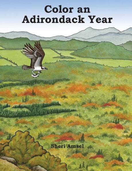 Color An Adirondack Year