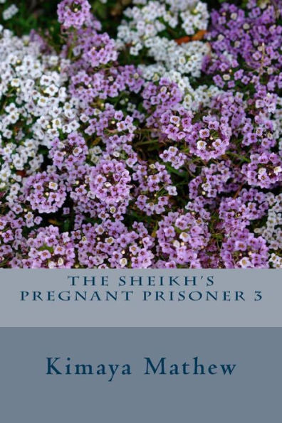 The Sheikh's Pregnant Prisoner 3 (The Sheikh Series)