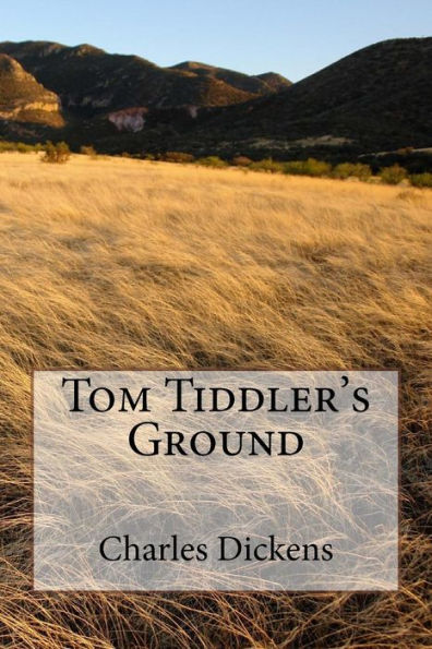 Tom Tiddler's Ground - 9781548277062