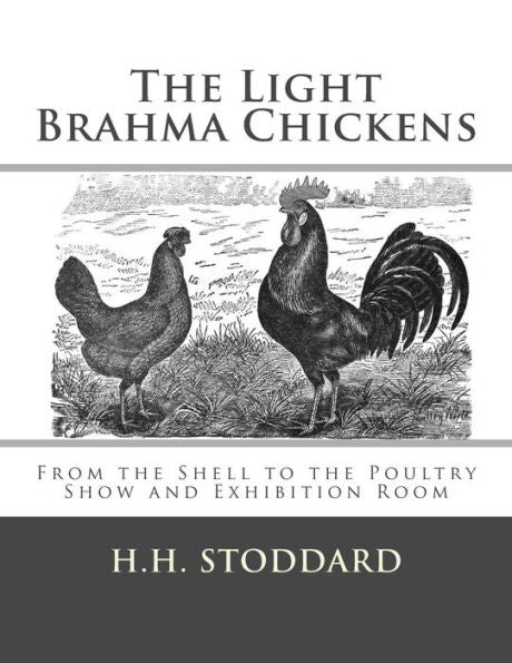 The Light Brahma Chickens (The Light Brahma Fowls): From The Shell To The Poultry Show And Exhibition Room