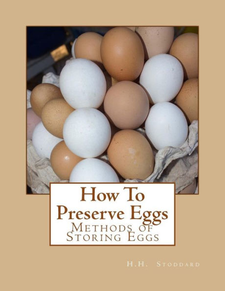 How To Preserve Eggs: Methods Of Storing Eggs