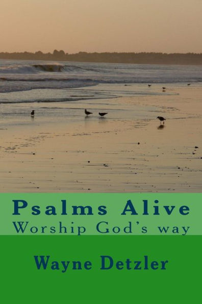 Psalms--A Devotional Commentary: Comfort For Painful Times