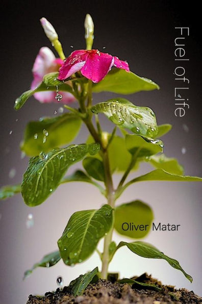 Fuel Of Life - 9781548449674