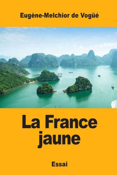 La France Jaune (French Edition)