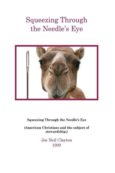 Squeezing Through The Needle's Eye: American Christians And The Subject Of Stewardship.