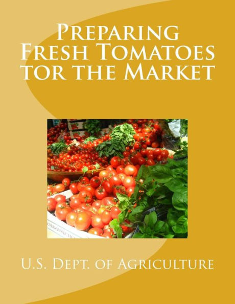 Preparing Fresh Tomatoes Tor The Market