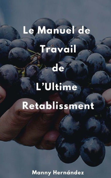 Le Manuel De Travail De L'Ultime Retablissement: Cultiver Le Fruit D?Un Jour Meilleur (French Edition)