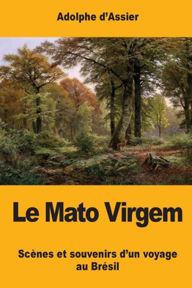 Le Mato Virgem: ScEnes Et Souvenirs D’Un Voyage Au Brésil (French Edition)