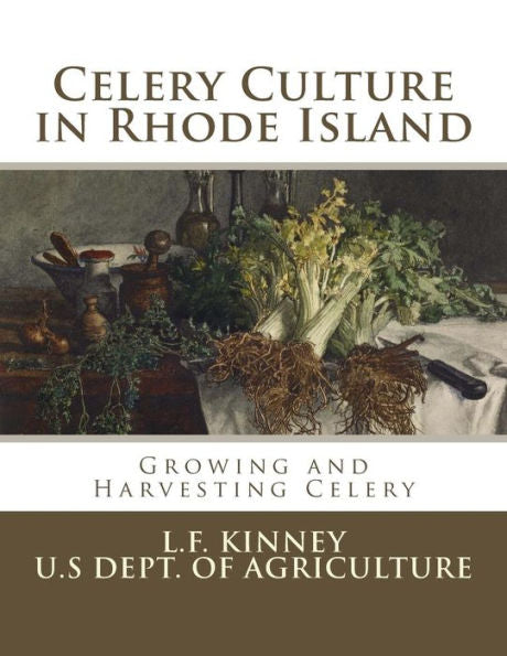 Celery Culture In Rhode Island: Growing And Harvesting Celery