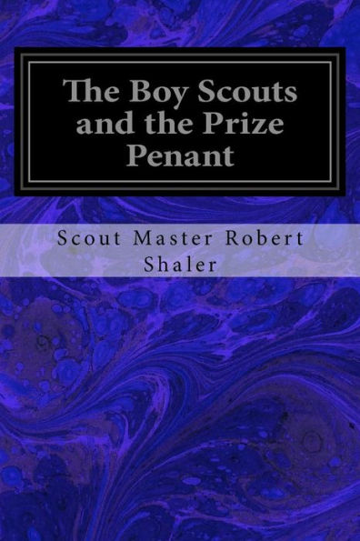 The Boy Scouts And The Prize Penant