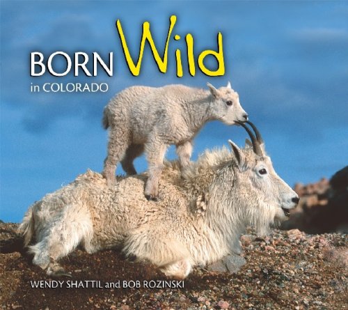 Born Wild In Colorado
