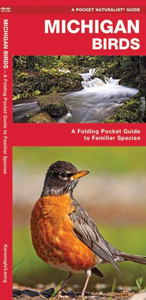 Michigan Birds: A Folding Pocket Guide To Familiar Species (Wildlife And Nature Identification)