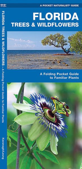 Florida Trees & Wildflowers: A Folding Pocket Guide To Familiar Plants (Wildlife And Nature Identification)