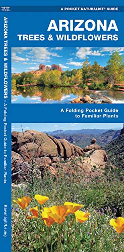 Arizona Trees & Wildflowers: A Folding Pocket Guide To Familiar Plants (Wildlife And Nature Identification)