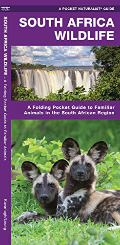 South Africa Wildlife: A Folding Pocket Guide To Familiar Animals In The South African Region (Wildlife And Nature Identification)