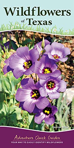 Wildflowers Of Texas: Your Way To Easily Identify Wildflowers (Adventure Quick Guides)