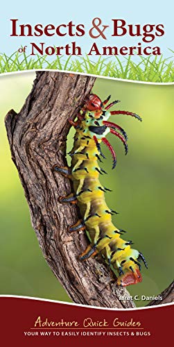 Insects & Bugs Of North America: Your Way To Easily Identify Insects & Bugs (Adventure Quick Guides)