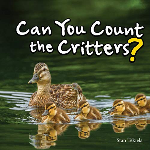 Can You Count The Critters?
