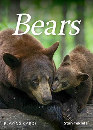 Bears Playing Cards (Nature's Wild Cards)