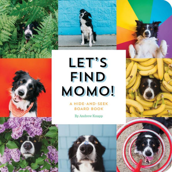 Let's Find Momo!: A Hide-And-Seek Board Book