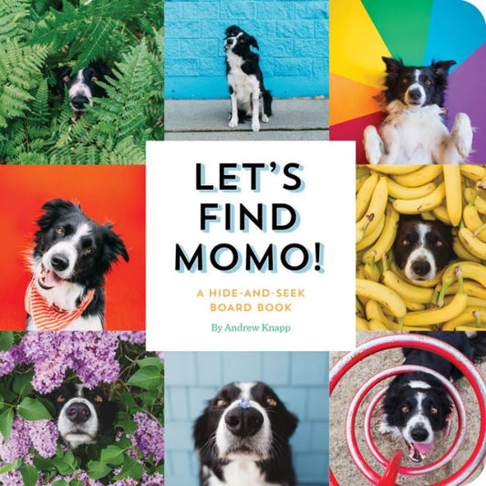 Let's Find Momo!: A Hide-And-Seek Board Book