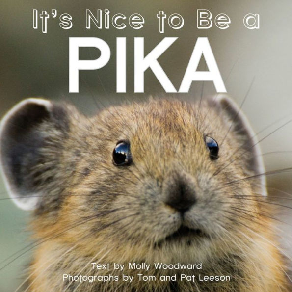 It's Nice To Be A Pika