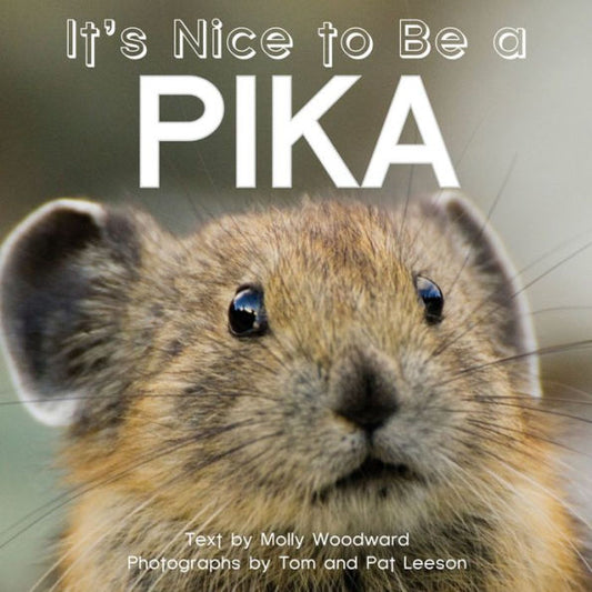 It's Nice To Be A Pika