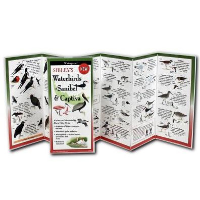 Earth Sky + Water Foldingguide™ - Sibley's Seabirds Of The Pacific Coast - 10 Panel Foldable Laminated Nature Identification Guide