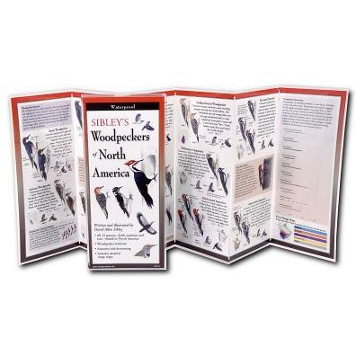 Sibley's Woodpeckers Of North America (Foldingguides)