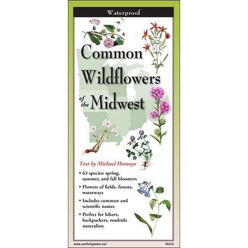Earth Sky + Water Foldingguide? - Common Wildflowers Of The Midwest - 10 Panel Foldable Laminated Nature Identification Guide