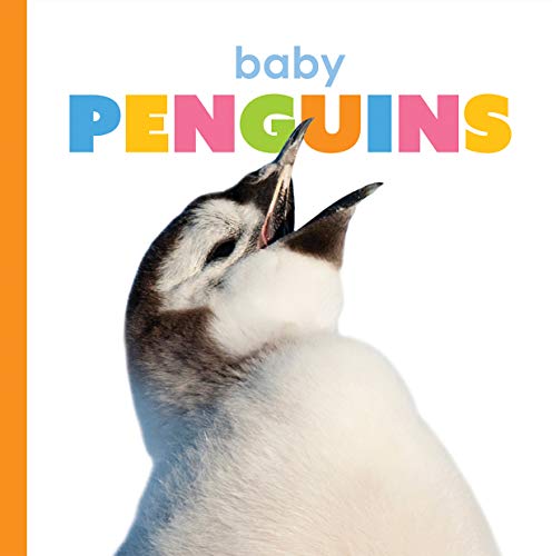 Baby Penguins (Starting Out)