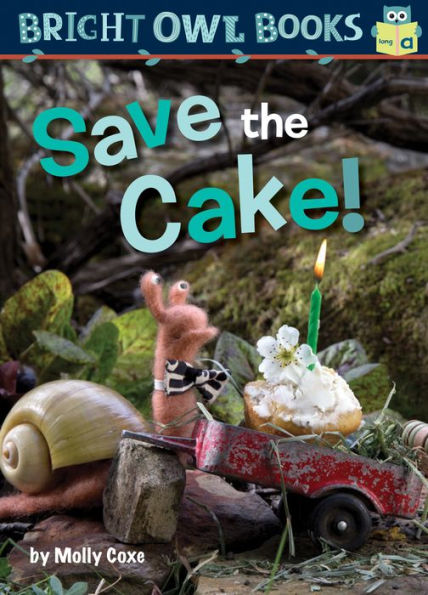 Save The Cake! (Bright Owl Books)