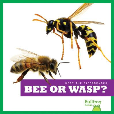 Bee Or Wasp? (Bullfrog Books: Spot The Differences)