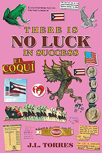 There Is No Luck In Success (Paperback)