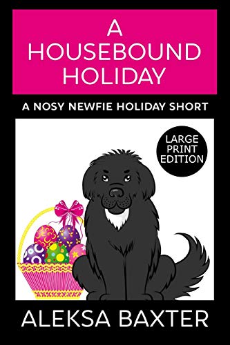 A Housebound Holiday - 9781637440087