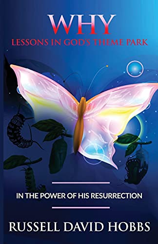 Why: Lessons In God's Theme Park