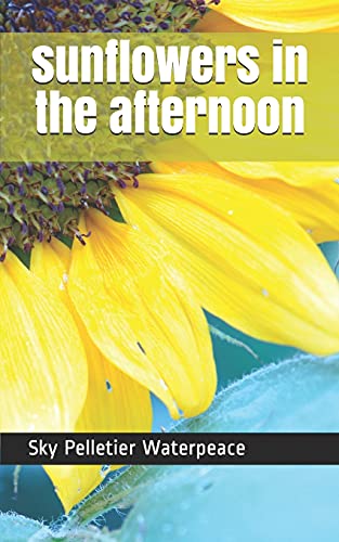 Sunflowers In The Afternoon