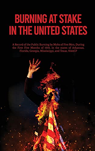Burning At Stake In The United States - 9781639230648