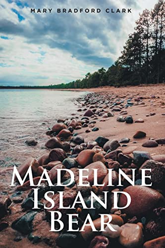 Madeline Island Bear