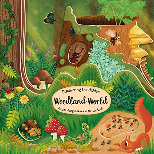Discovering The Hidden Woodland World (Happy Fox Books) Board Book For Kids Ages 2-5 Explores Into A Forest Of Trees With Every Turn Of The Page, Plus Fun Facts And Vocabulary Words (Peek Inside)