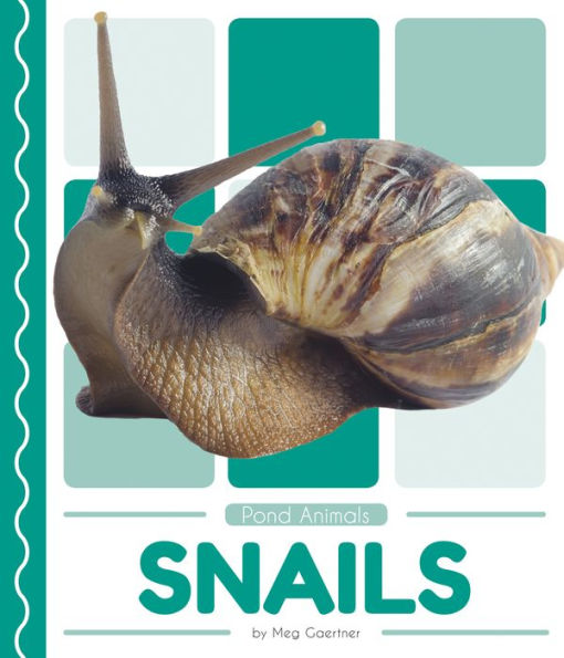 Snails (Pond Animals (Set Of 8))