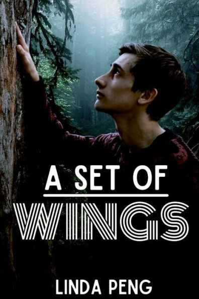 A Set Of Wings (Middle School Ladder Bundle)
